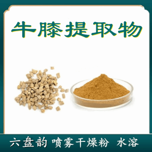 牛膝提取物  六盘韵  牛膝浓缩粉  喷雾干燥法
