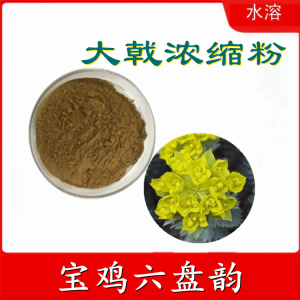 大戟浓缩粉  六盘韵  喷雾干燥法