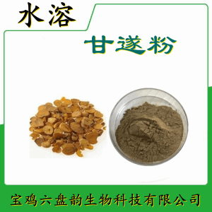 甘遂粉 六盘韵  资质齐全  可定制