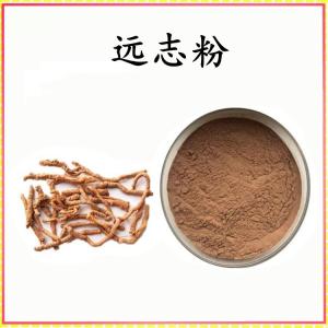 远志 粉 远志提取物 可定制 水溶 包邮