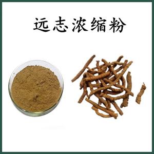 远志 浓缩粉 远志粉 可定制 水溶 包邮