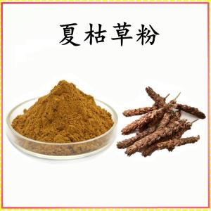 夏枯草 粉 夏枯草提取物 可定制 水溶 包邮