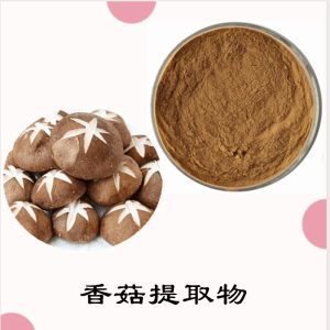 香菇提取物  香菇浓缩粉    可定制 包邮