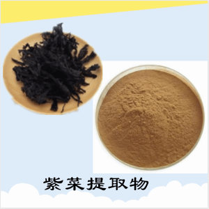 紫菜提取物   紫菜浓缩粉  可定制  水溶 包邮