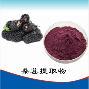 桑葚提取物  桑葚浓缩粉    可定制    包邮