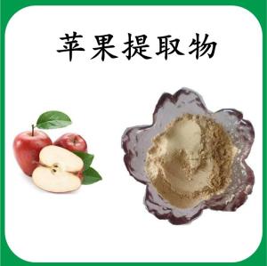 苹果提取物  苹果浓缩粉 可定制 水溶 包邮