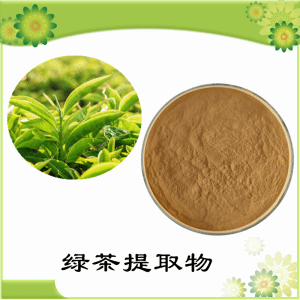 绿茶提取物   绿茶浓缩粉  可定制 水溶  包邮