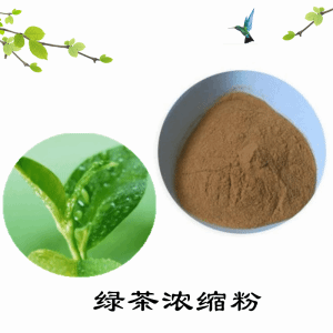 绿茶浓缩粉   绿茶膳食纤维    可定制   包邮