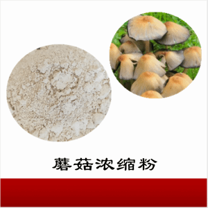 蘑菇浓缩粉    蘑菇膳食纤维    可定制  包邮