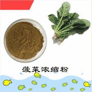 菠菜浓缩粉     菠菜膳食纤维   可定制 包邮