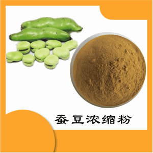 蚕豆浓缩粉     蚕豆膳食纤维    可定制 水溶