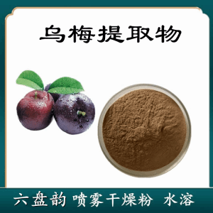 乌梅提取物  六盘韵  乌梅浓缩粉  现货现发