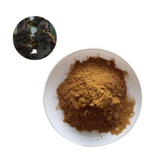 木耳提取物 比例浓缩喷雾干燥粉 斯诺特水溶粉