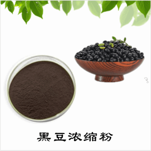 黑豆浓缩粉   黑豆膳食纤维    可定制  水溶