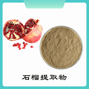 石榴提取物  石榴浓缩粉  可定制 水溶 包邮