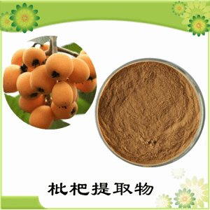 枇杷提取物  枇杷浓缩粉 可定制 水溶 包邮