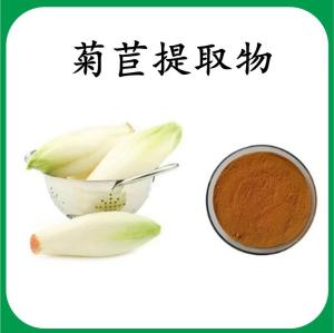 菊苣提取物 菊苣浓缩粉 可定制 水溶 包邮