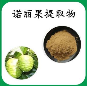 诺丽果 提取物 诺丽果浓缩粉 可定制 水溶 包邮