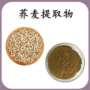 荞麦提取物 荞麦浓缩粉 可定制 水溶 包邮