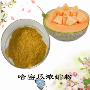 哈密瓜浓缩粉    哈密瓜膳食纤维    可定制   包邮