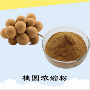 桂圆浓缩粉   桂圆膳食纤维    可定制 包邮