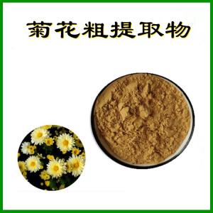菊花粗提取物  菊花提取物  可定制 包邮