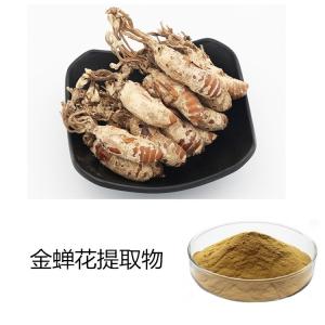 金蝉花提取物 多比例规格供应 喷雾干燥水溶萃取
