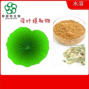 荷叶提取物 比例浓缩萃取药食同源喷雾干燥
