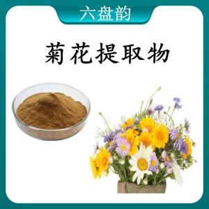 菊花 提取物 菊花浓缩粉 可定制 水溶 包邮