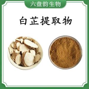 白芷 提取物 白芷浓缩粉 可定制 水溶 包邮