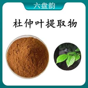 杜仲叶提取物 杜仲叶浓缩粉 可定制 水溶 包邮