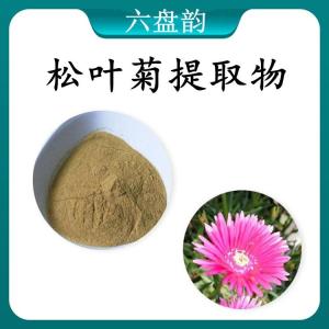 松叶菊提取物 松叶菊浓缩粉 可定制 水溶 包邮