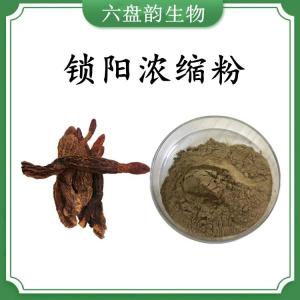 锁阳浓缩粉 锁阳速溶粉 可定制 水溶 包邮