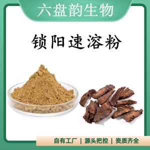 锁阳速溶粉 锁阳提取物 可定制 水溶 包邮
