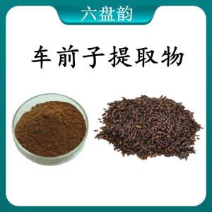 车前子提取物 车前子浓缩粉 可定制 水溶 包邮