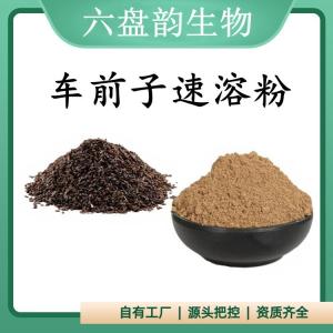 车前子速溶粉 车前子提取物 可定制 水溶 包邮