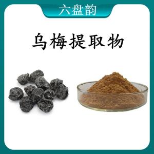 乌梅提取物 乌梅浓缩粉 可定制 水溶 包邮