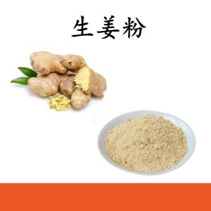 生姜 粉 生姜提取物 可定制 水溶 包邮