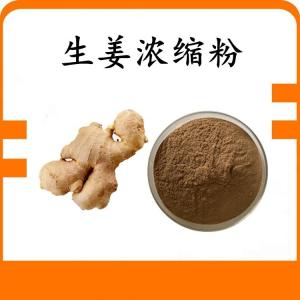 生姜  浓缩粉 生姜粉 可定制 水溶 包邮