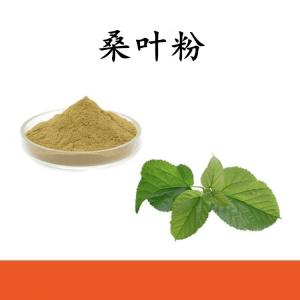 桑叶  粉 桑叶提取物 可定制 水溶 包邮
