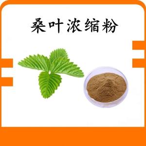 桑叶  浓缩粉 桑叶粉 可定制 水溶 包邮