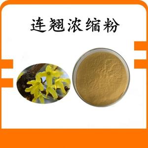 连翘浓缩粉 连翘粉 可定制 水溶 包邮