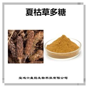 夏枯草提取物 夏枯草多糖 植物萃取粉 多种含量