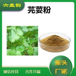 芫荽浓缩粉 芫荽粉 比例提取 可定制 香菜提取物