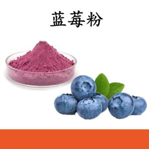 蓝莓粉 蓝莓提取物 可定制 水溶 包邮