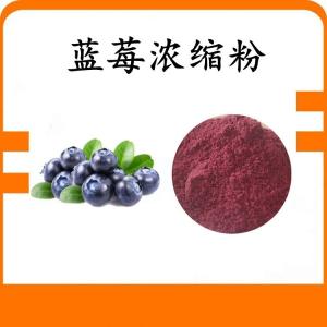 蓝莓浓缩粉 蓝莓粉 可定制 水溶 包邮