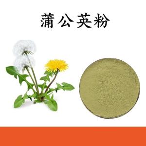 蒲公英粉 蒲公英提取物 可定制 水溶 包邮