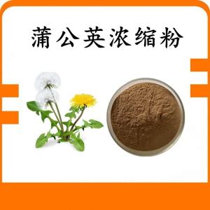 蒲公英浓缩粉 蒲公英粉 可定制 水溶 包邮