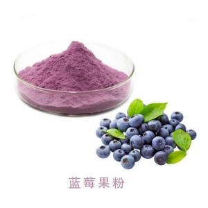 蓝莓粉 斯诺特生物速溶水果粉 库存量足 产品图片