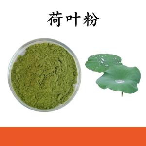 荷叶粉 荷叶提取物 可定制 水溶 包邮